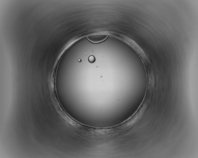 X0000115230908200911061125