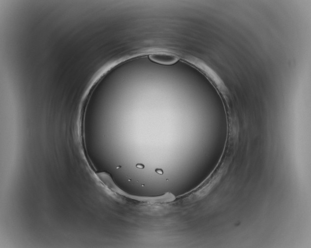 X0000115230910200911061125