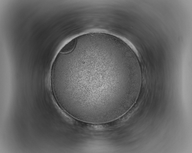 X0000115230911200911061125