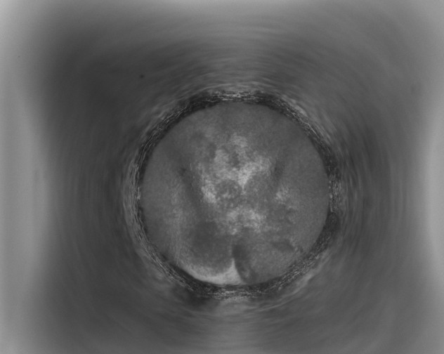 X0000115230913200911061124