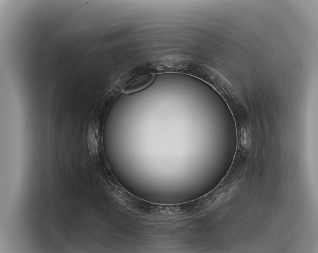 X0000115230915200911061124