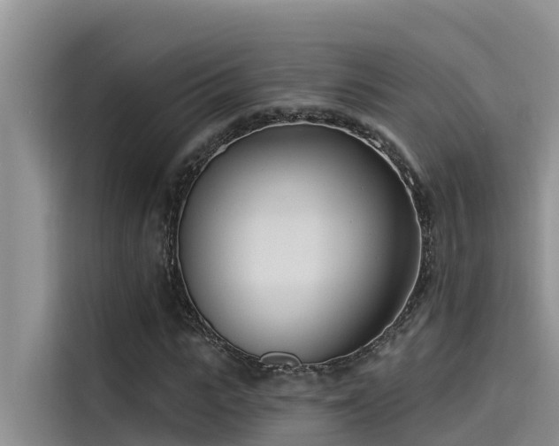 X0000115230919200911061124