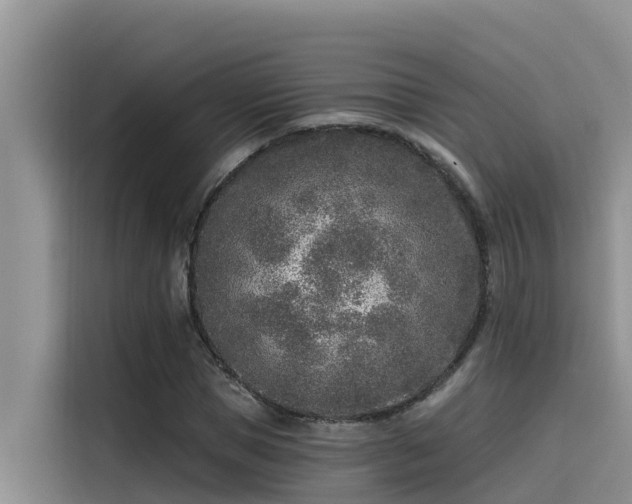 X0000115230921200911061124