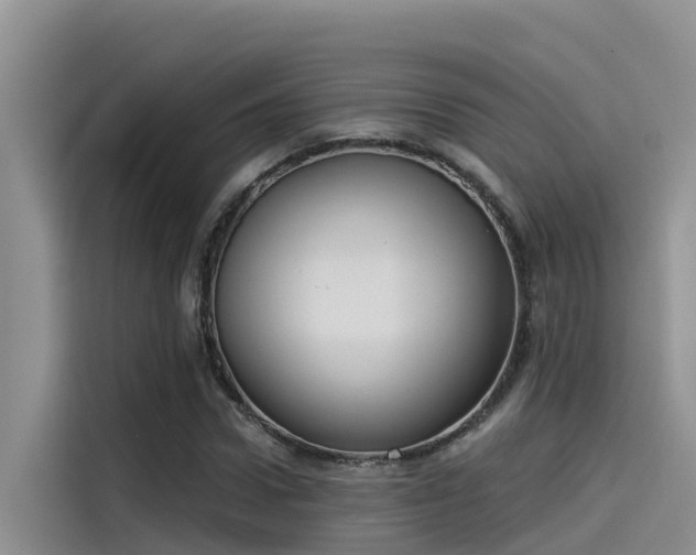 X0000115230922200911061124
