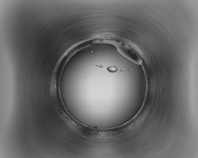 X0000115230923200911061124