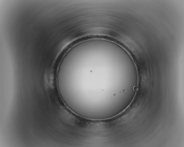 X0000115230926200911061124