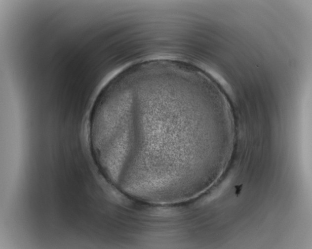 X0000115230933200911061124