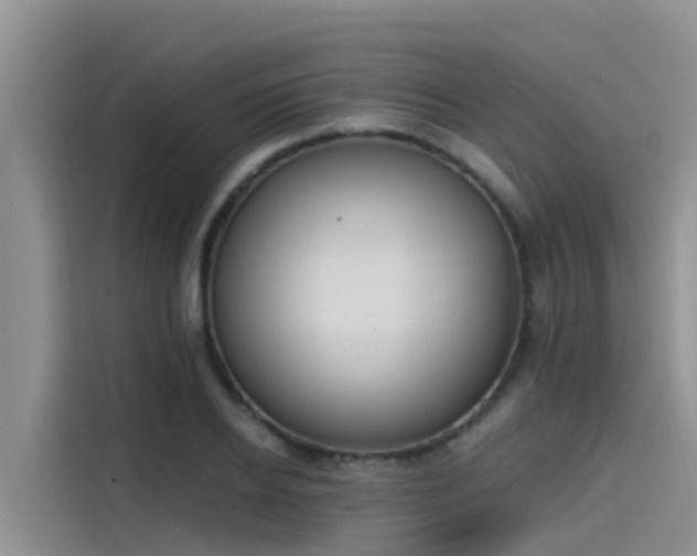 X0000115230934200911061124