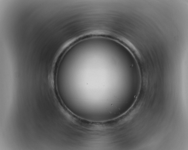 X0000115230935200911061124