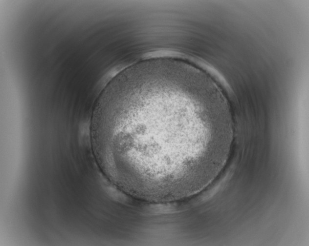 X0000115230937200911061124