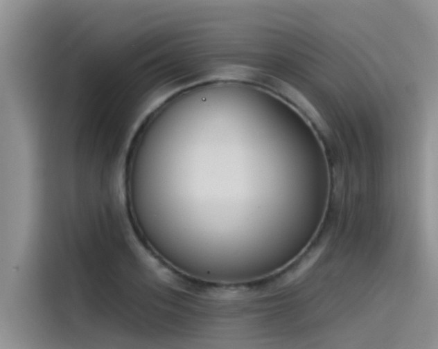 X0000115230939200911061124