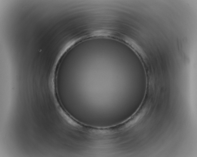 X0000115230941200911061124