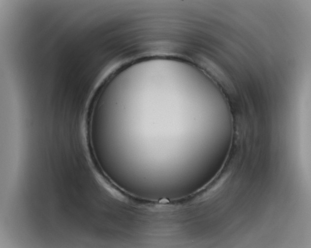 X0000115230942200911061124