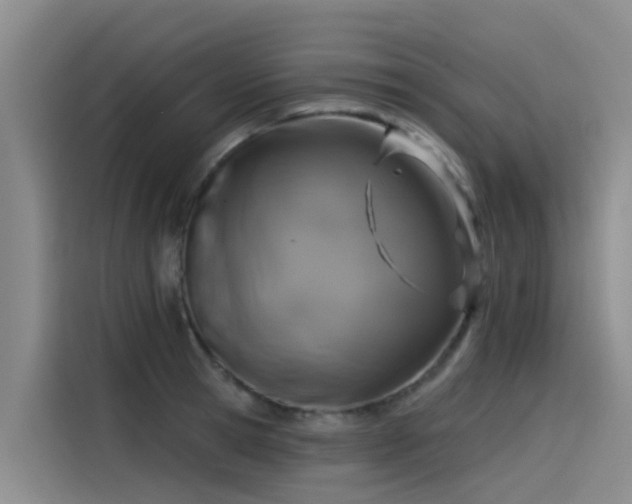 X0000115230945200911061124