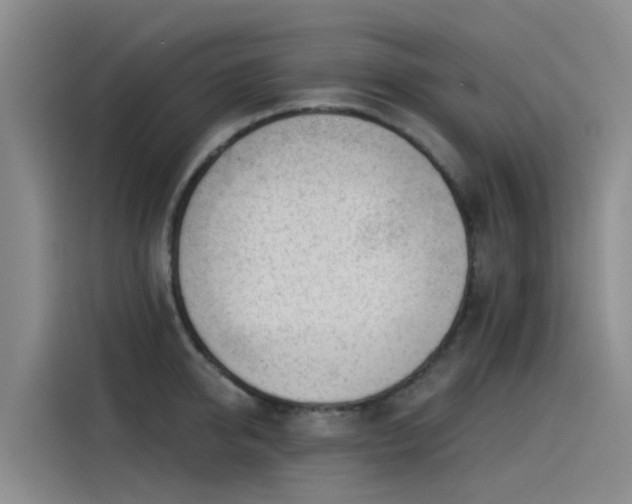 X0000115230950200911061124
