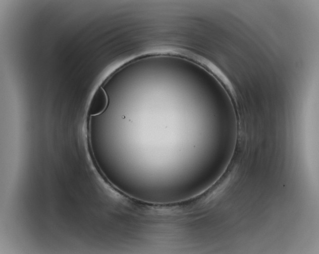 X0000115230951200911061125