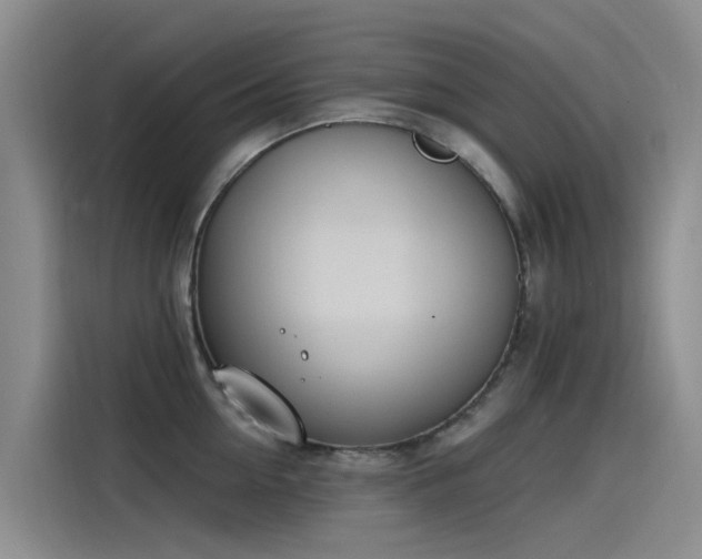 X0000115230954200911061125