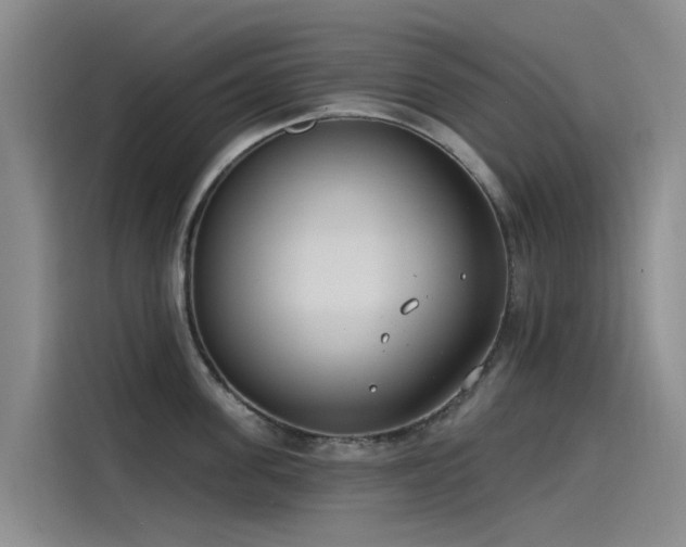 X0000115230955200911061125