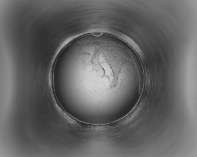 X0000115230958200911061125