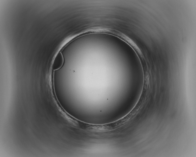 X0000115230959200911061125
