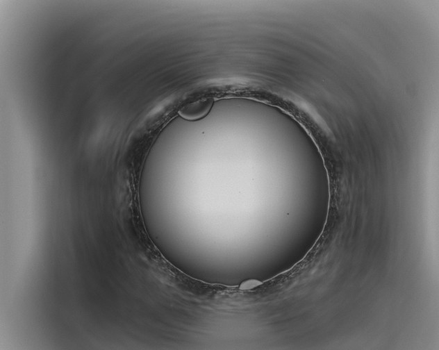 X0000115230967200911061124