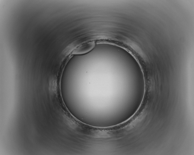 X0000115230969200911061124