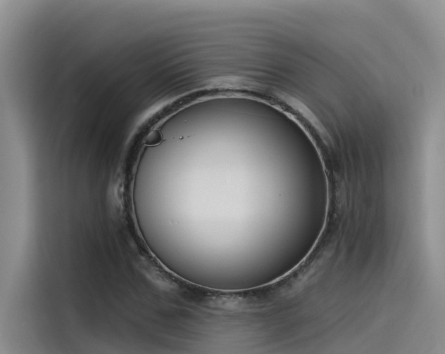X0000115230971200911061124
