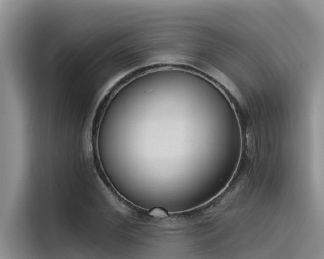 X0000115230972200911061124
