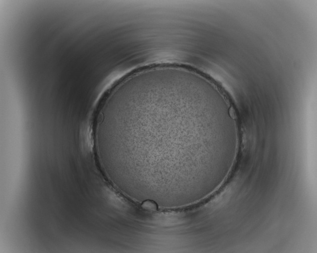 X0000115230973200911061124