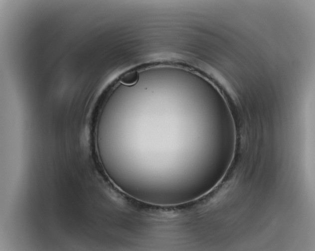 X0000115230975200911061124