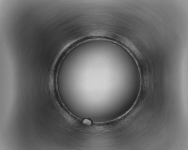 X0000115230976200911061124