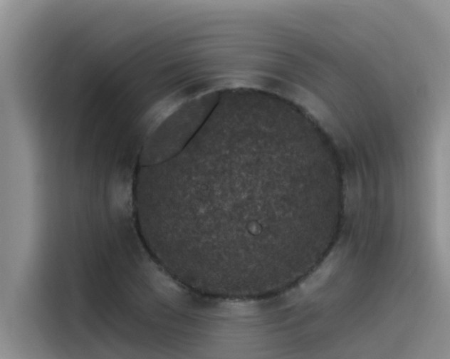 X0000115230977200911061124