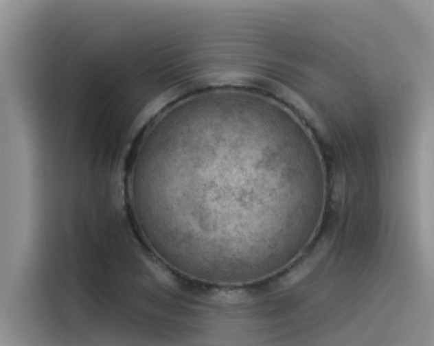 X0000115230978200911061124