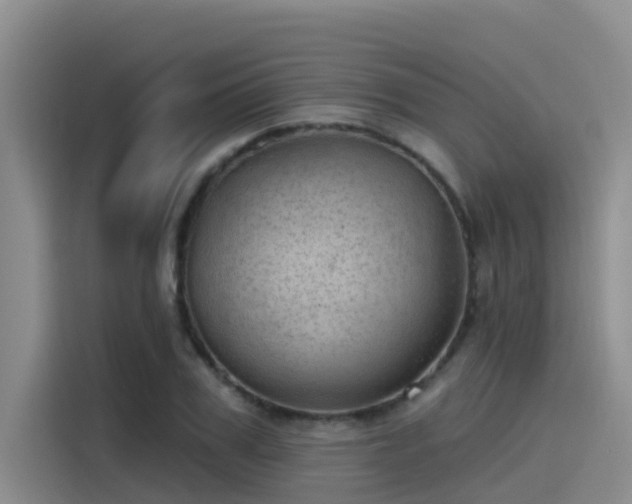 X0000115230979200911061124