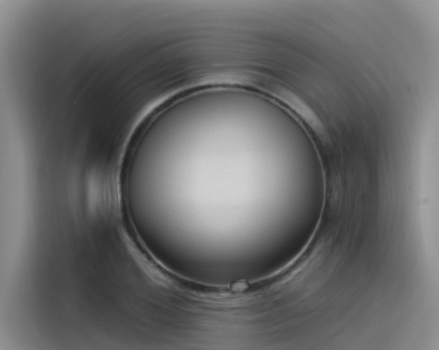 X0000115230980200911061124
