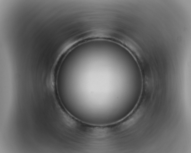 X0000115230981200911061124