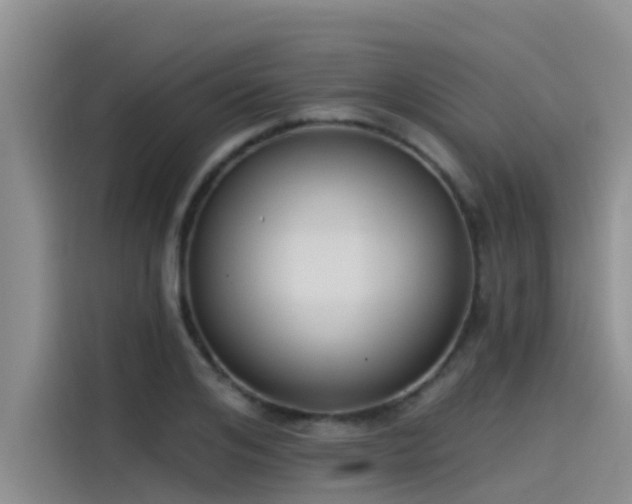 X0000115230984200911061124