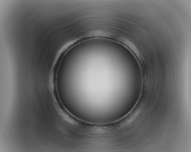 X0000115230987200911061124