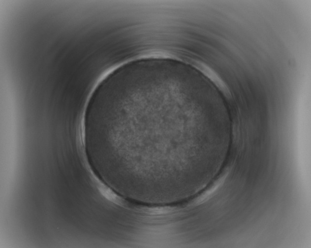 X0000115230988200911061124