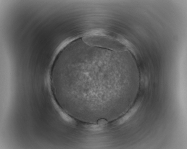 X0000115230989200911061124