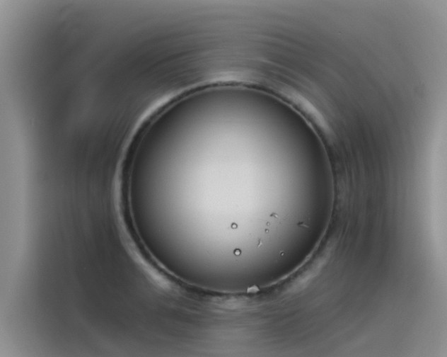 X0000115230991200911061124