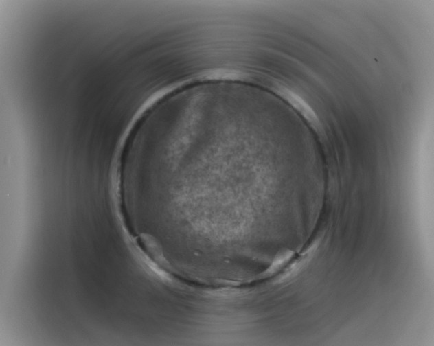 X0000115230992200911061124