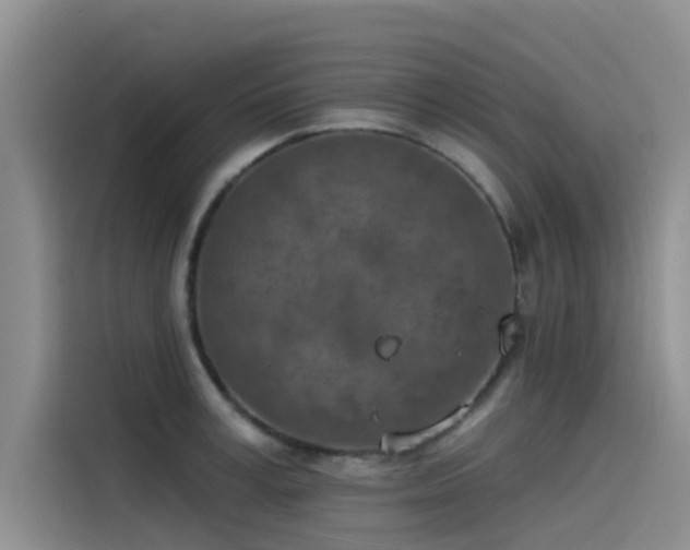 X0000115230995200911061124