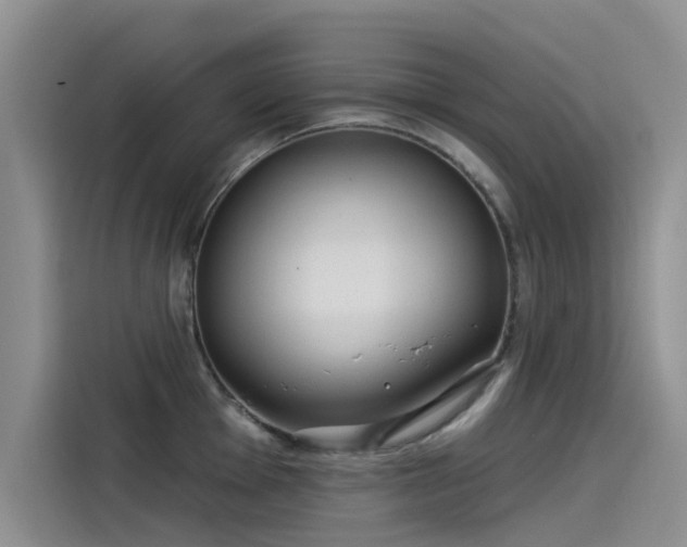 X0000115231001200911061123
