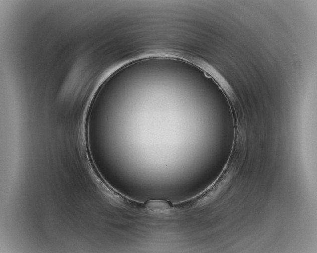 X0000115231004200911061123