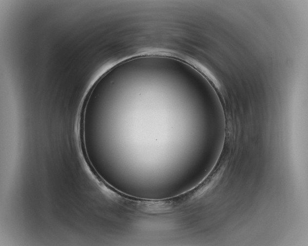 X0000115231007200911061123