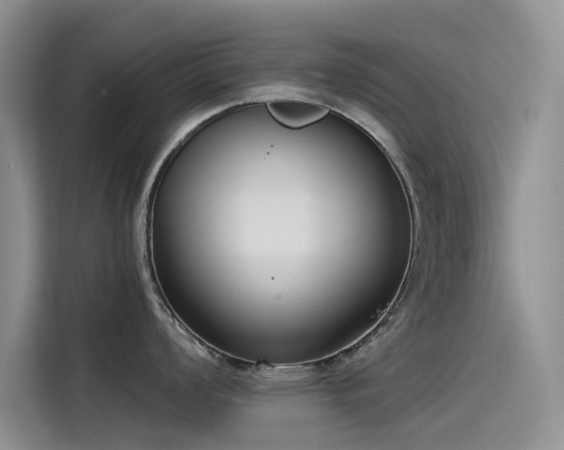 X0000115231008200911061123
