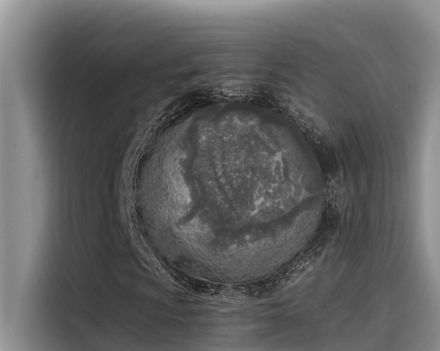 X0000115231009200911061123
