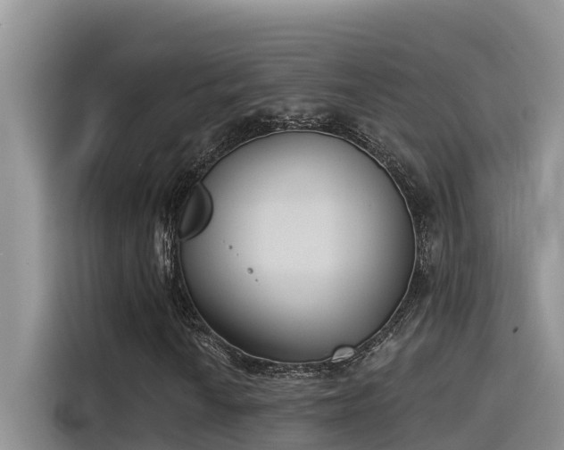 X0000115231010200911061123
