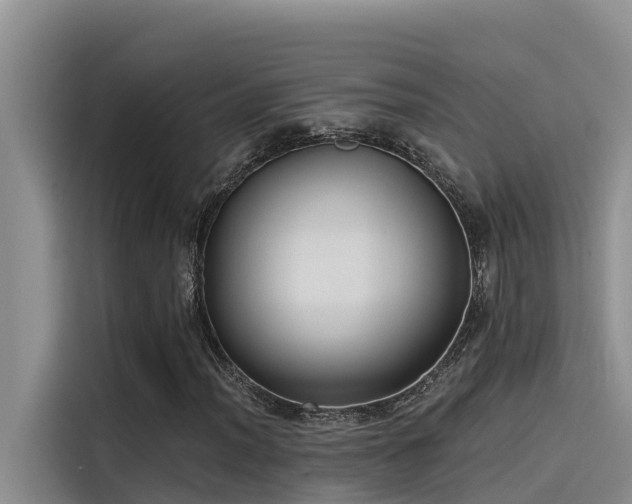 X0000115231012200911061123